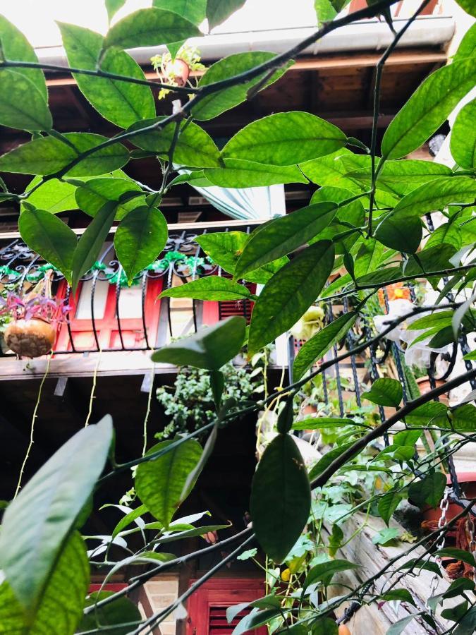 Kavinn Butik Otel Antakya Exterior foto